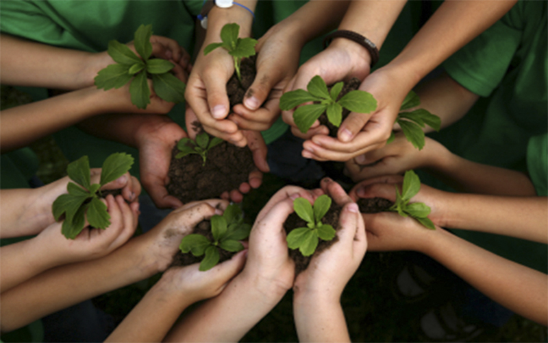 Laudato si' -10 años-